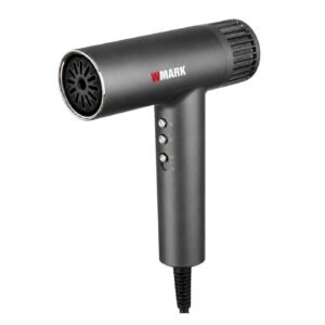 Secador Profesional Wmark NG-9118 DB